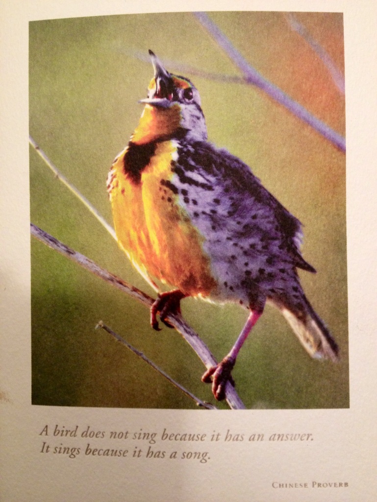 Meadowlark card