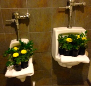 Urinals with flowers